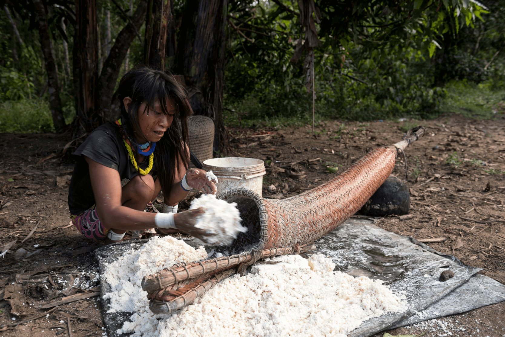 Uso do tipiti para processamento da mandioca pelos Sanumá-Yanomami. Fonte: Sesai/Ministério da Saúde